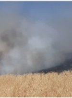 آتش سوزی در مزارع گندم روستای قطعات و کلبر شهرستان ازنا