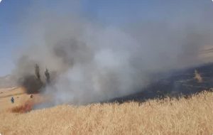 کشاورزان مراقب آتش سوزی مزارع باشند