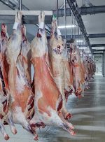 پیگیری صنعتی شدن کشتارگاه شهر ازنا پیگیری صنعتی شدن کشتارگاه شهر ازنا